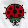 Baby Ladybird