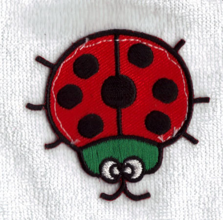 Baby Ladybird